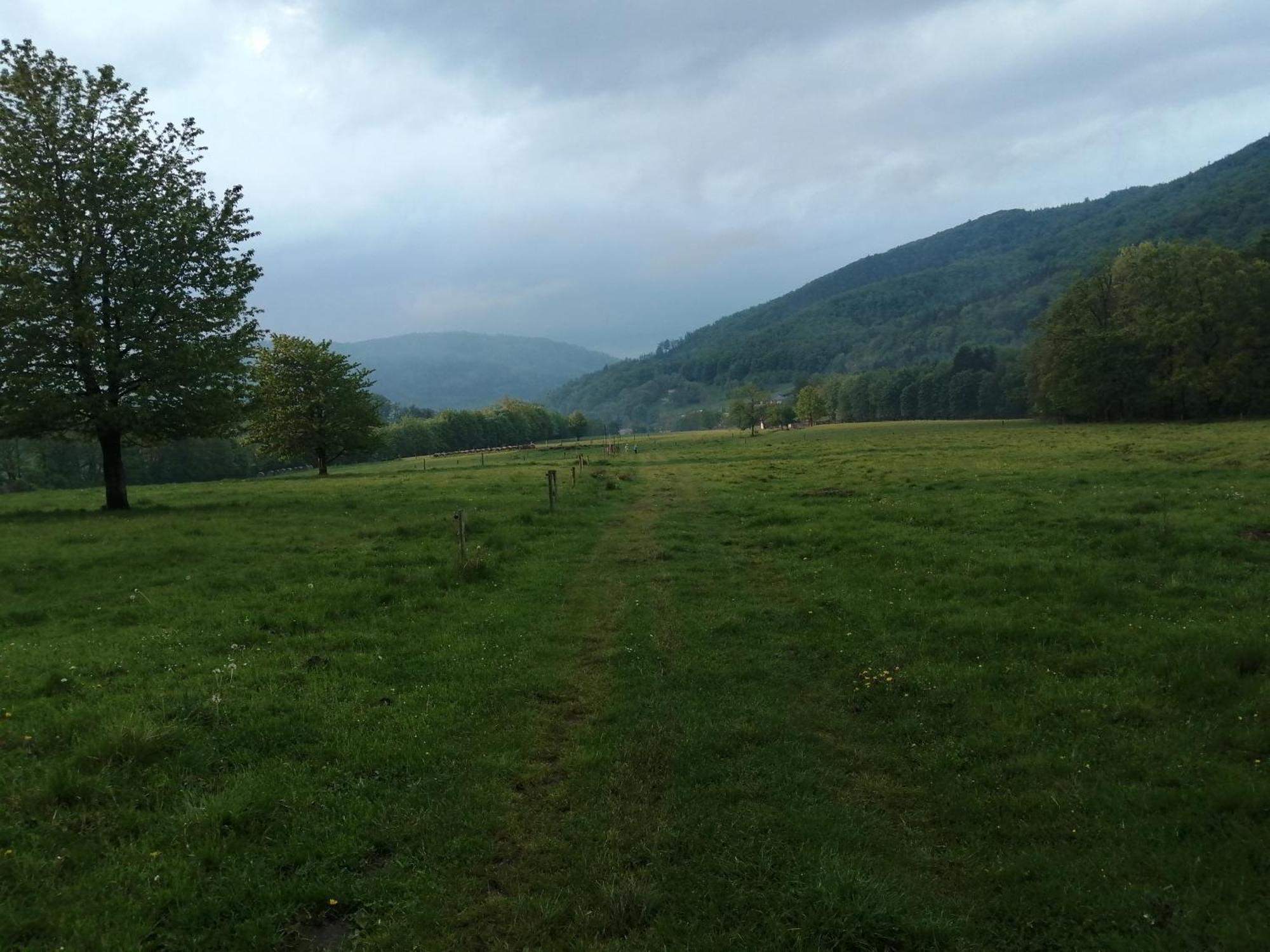 Domek W Gorach Sowich Pieszyce ภายนอก รูปภาพ