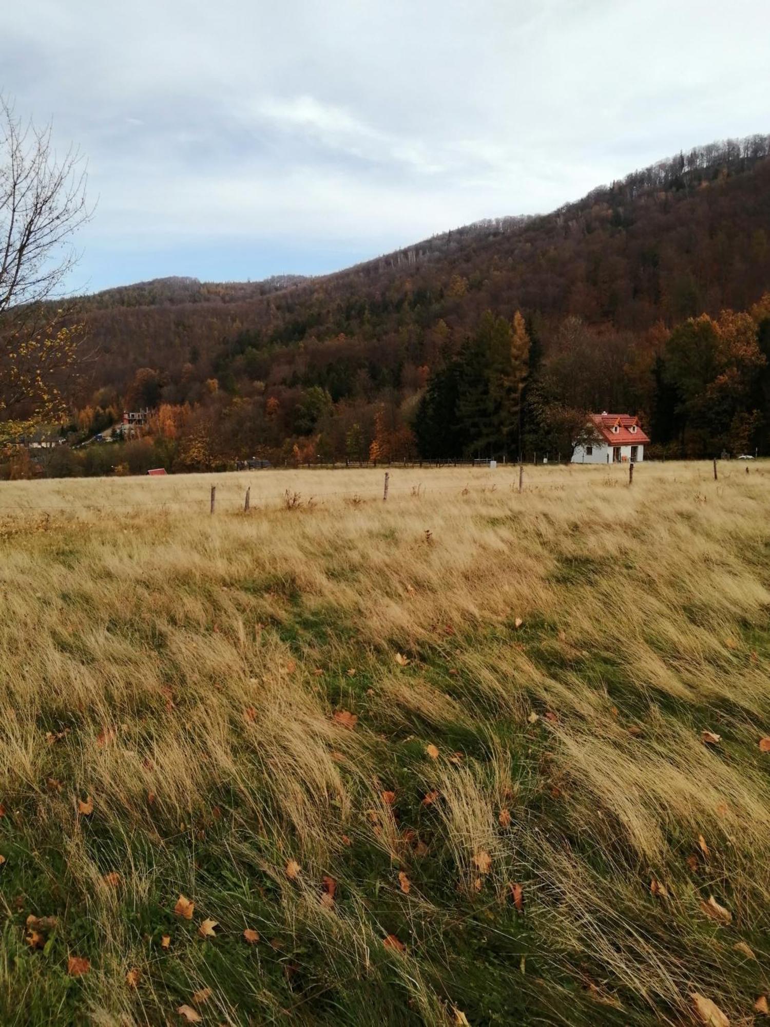 Domek W Gorach Sowich Pieszyce ภายนอก รูปภาพ
